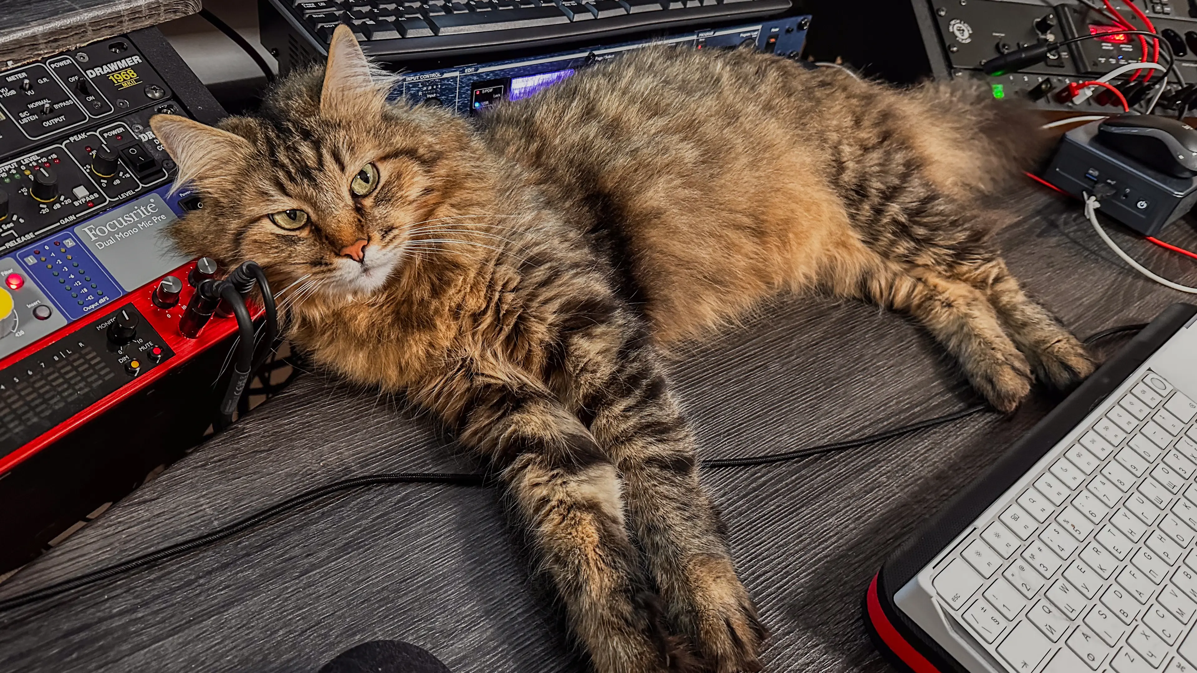 Loki, who is guarding studio
