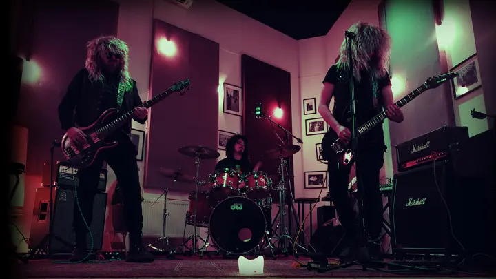 Darwin's Cat Live Experience