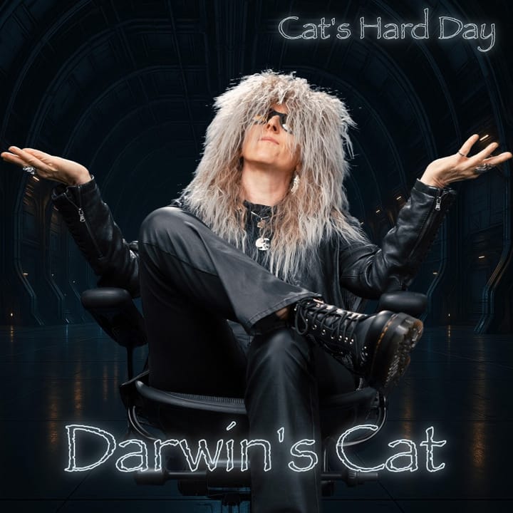 Cover art for album Cat's Hard Day