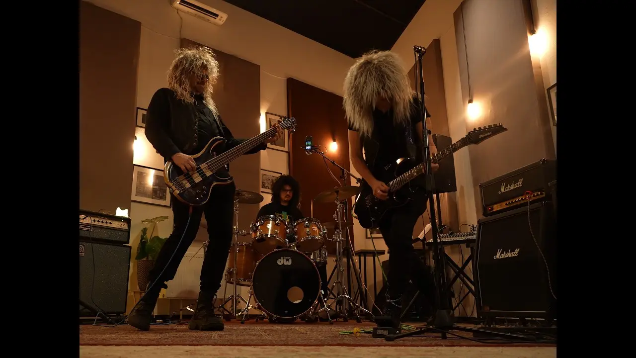 Video thumbnail for: Darwin's Cat Live Experience